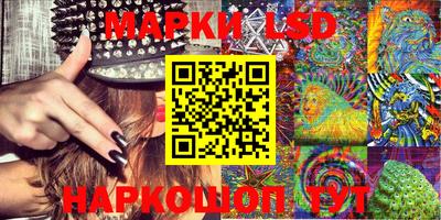 гидропоника Ставрополь