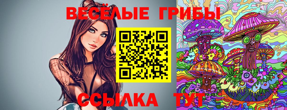 Псилоцибиновые грибы Psilocybine cubensis  как найти закладки  Волгодонск  Псилоцибиновые грибы Cubensis  Вход с VPN 